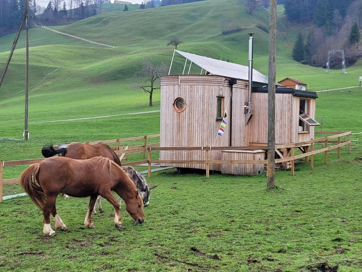 Beaver Creek Ranch Rothenthurm 외부 사진